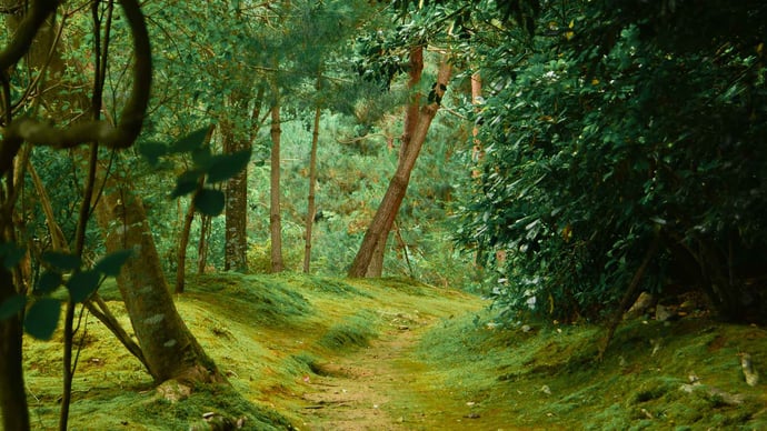 Tech Recruitment Jungle – Be king of tools & top of the talent foodchain