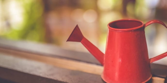 Hiring for a growing business? You need a cunning (recruitment) plan