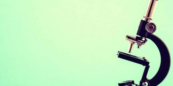 Under the microscope: Why you need a careers microsite