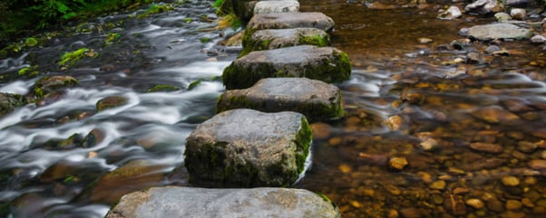 4 Simple Tips for Succession Planning Like a Pro