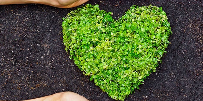 Employers and brands take heed - Credibility-shattering social media mistakes