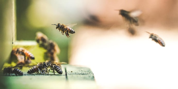 How to truly create an engaging candidate attraction strategy