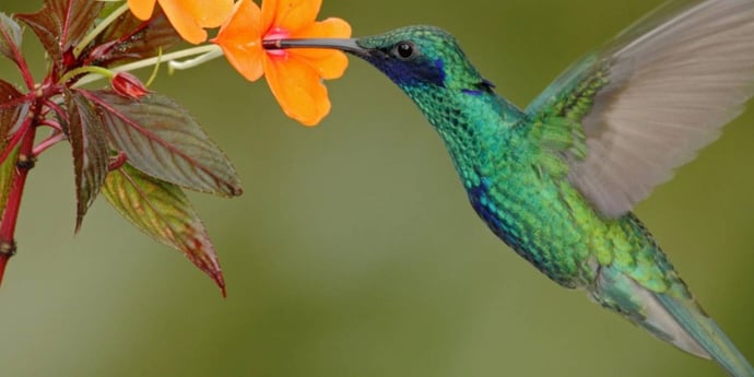 12 Ways to Help Talent Thrive in your Business