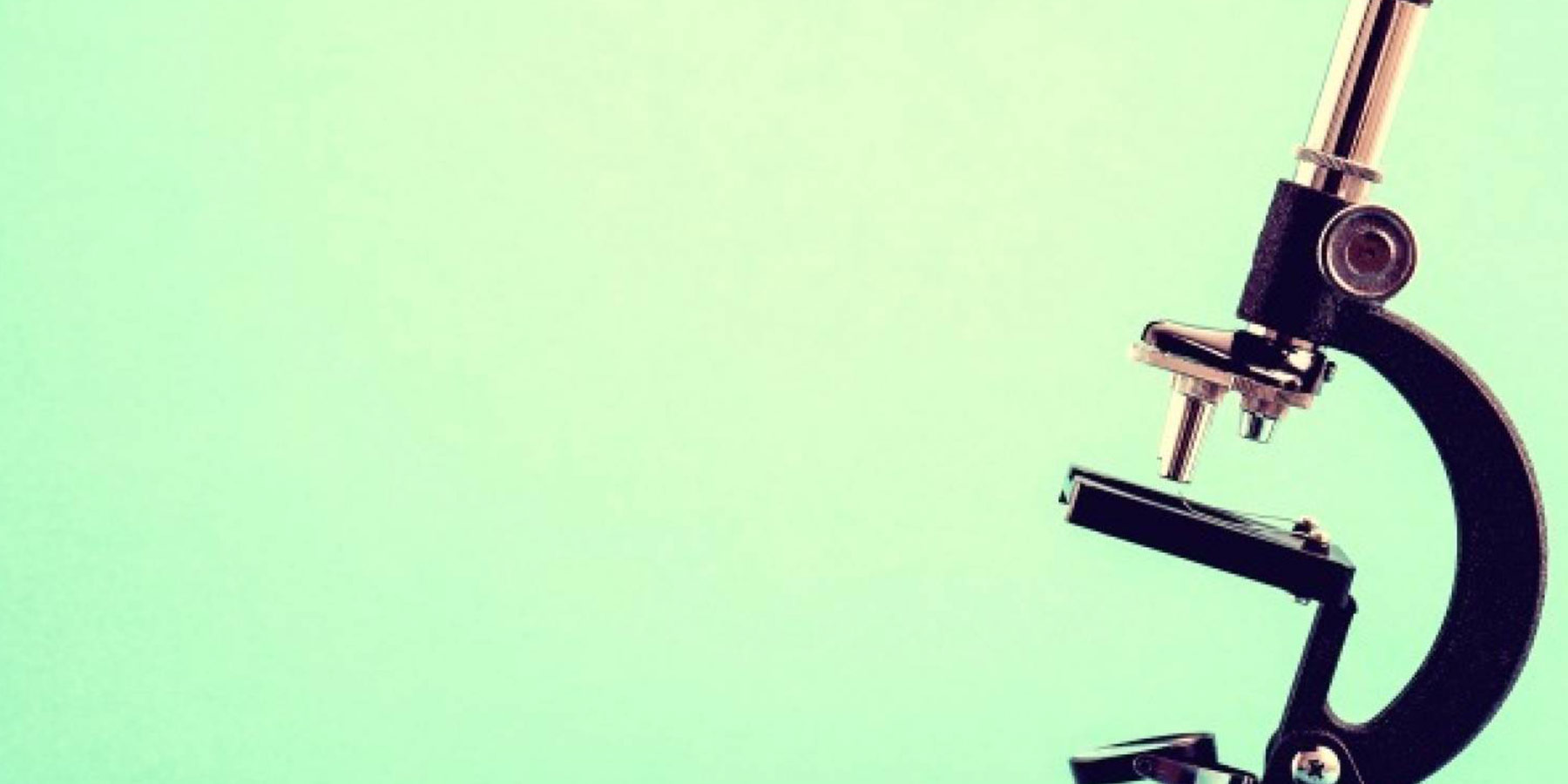 Under the microscope Why you need a careers microsite